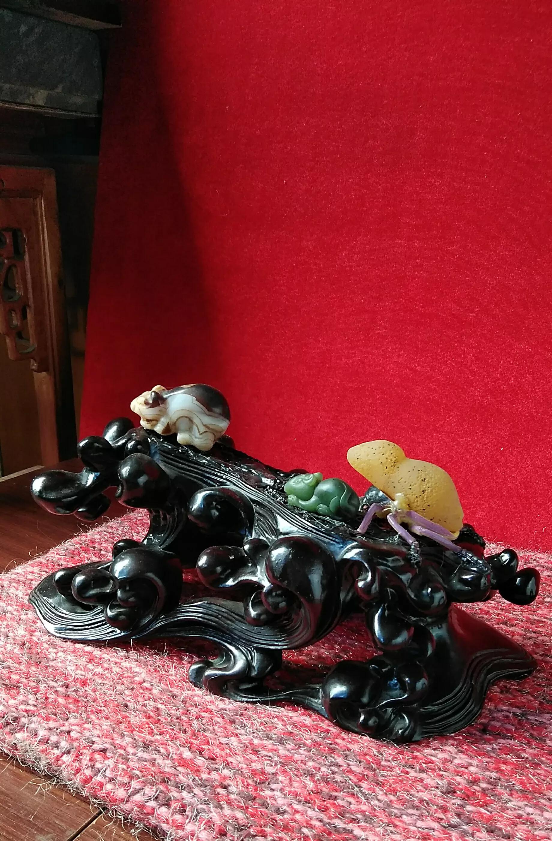 鼠的阴阳齐备文化象征_子鼠五行水对应时间_十二生肖什么属相最好