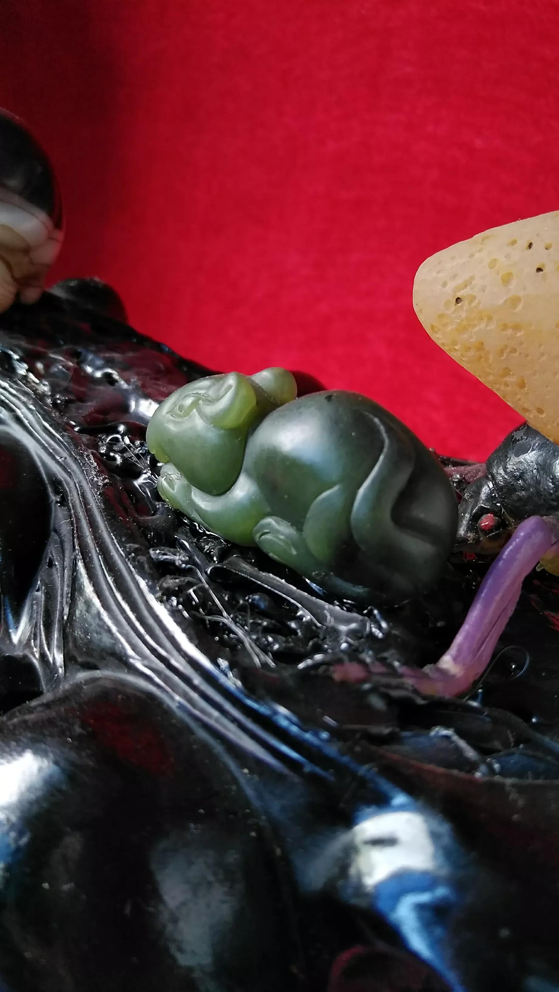 十二生肖什么属相最好_鼠的阴阳齐备文化象征_子鼠五行水对应时间