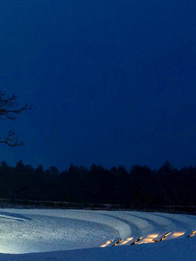 射手座的压力与应对_六月份射手星座运势_射手座如何面对生活挑战