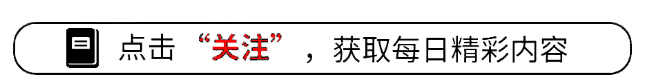 2026年国产剧过审名单 涉案剧推荐_刑侦悬疑剧《黑夜告白》评价_2026完美告白