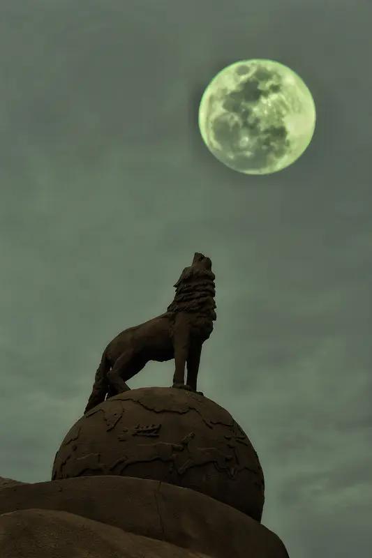 星座月亮代表什么_月亮火象星座分析_月亮星座特点