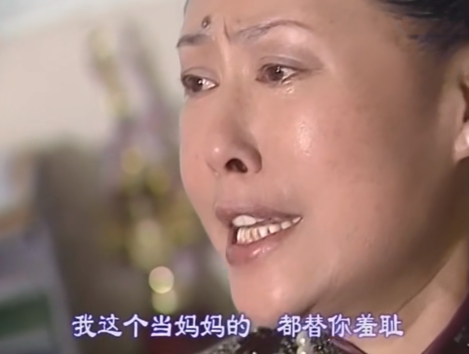 肥猫寻亲记_亲情生离死别_寻亲骨肉相认