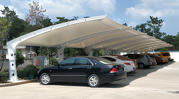 梁朝伟刘嘉玲生活习惯_娱乐圈夫妻分居_内地明星夫妻有哪些